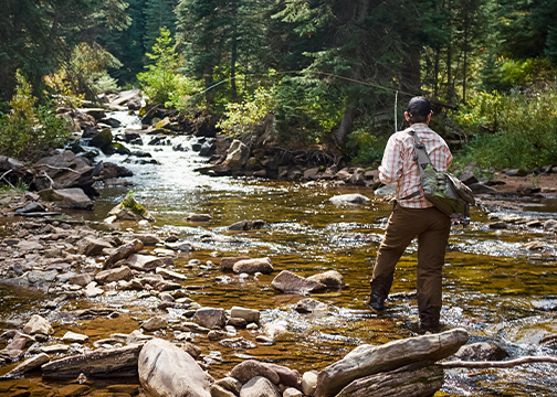 Colorado Fishing Mountain stream del norte